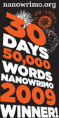 nano2009winner